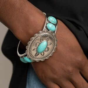 Paparazzi Turquoise and Silver Turtle Bracelet